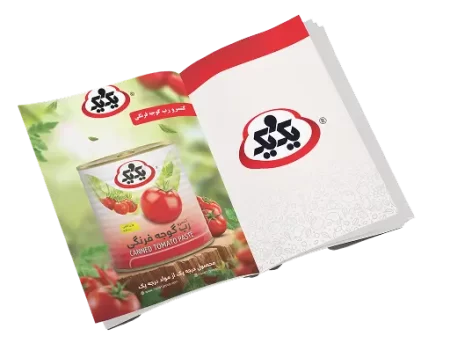 بروشور محصولات یک و یک