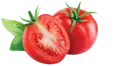 گوجه فرنگی